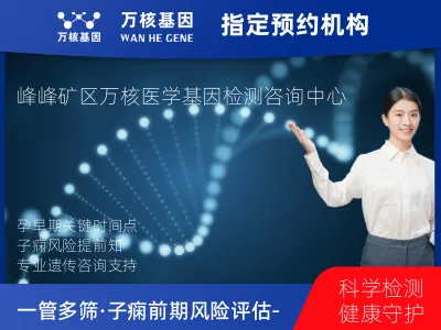 邯郸市峰峰矿区一管多筛·子痫前期风险评估-孕早期