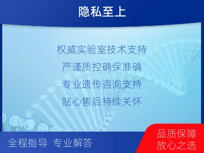 德州齐河-无创胎儿亲子鉴定-检测流程