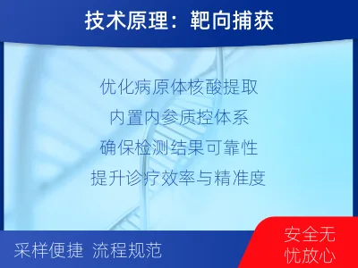 靖安-多重病原靶向检测-检测流程