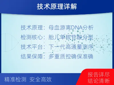 上海浦东-亲子鉴定无创-检测介绍