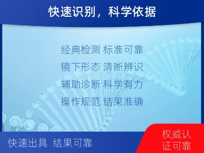 宁南-抗酸染色涂片镜检-报告解读
