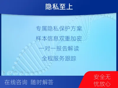 攀枝花东-无创胎儿亲子鉴定-检测流程