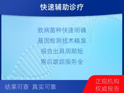 河西-分枝杆菌菌种鉴定-报告解读