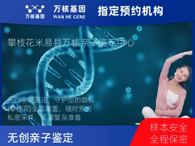 攀枝花市米易县无创亲子鉴定