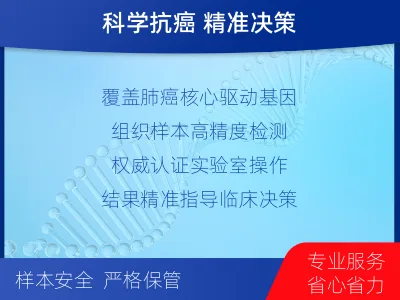 商洛-肺癌基因检测-检测流程