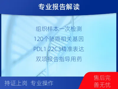 桐庐-肺癌靶向基因检测-检测介绍