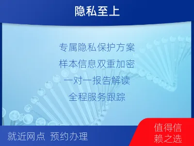 陇南文-无创胎儿亲子鉴定-检测流程