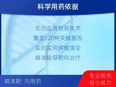 皋兰-乳腺卵巢癌基因ctDNA检测-检测流程