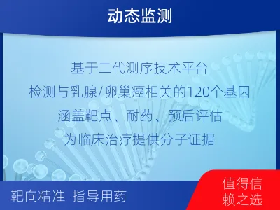 青白江-乳腺卵巢癌靶向基因检测-检测介绍