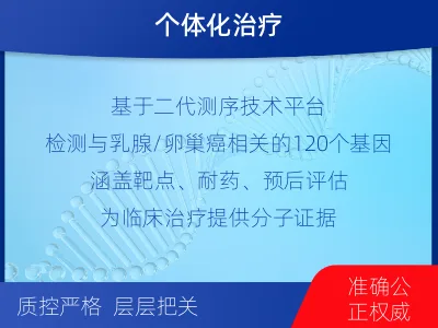 渭滨-乳腺卵巢癌靶向基因检测-检测流程