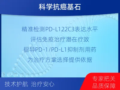 周口-PD-L122C3表达检测-检测流程