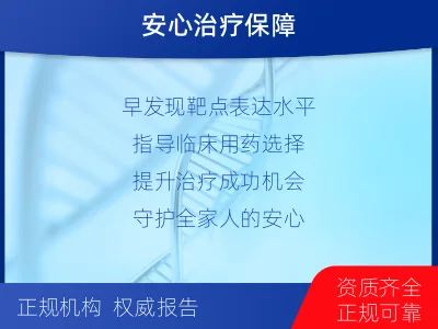 临湘-PD-L1E1L3N表达检测-适用人群