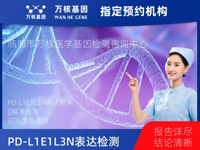 岳阳市临湘市PD-L1E1L3N表达检测