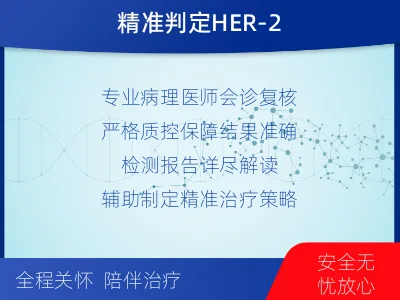 沁-HER2病理会诊-检测介绍
