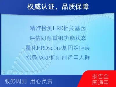 蔚-同源重组修复缺陷检测-检测介绍