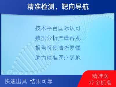 蔚-同源重组修复缺陷检测-检测流程
