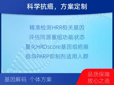 蔚-同源重组修复缺陷检测-适用人群