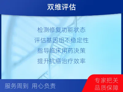 上党-同源重组修复缺陷检测-报告解读