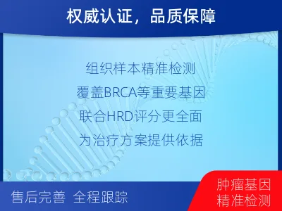 东宝-同源重组修复缺陷检测-报告解读