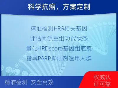 东宝-同源重组修复缺陷检测-检测流程