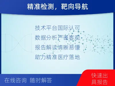 东宝-同源重组修复缺陷检测-适用人群