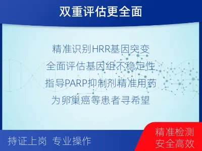 仁和-同源重组修复缺陷检测-检测流程