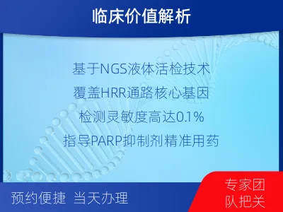 安宁-HRR基因检测-报告解读