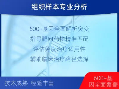 威海-肿瘤600-基因全面用药基-报告解读