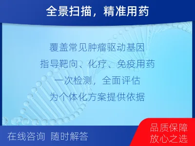 南开-肿瘤全面用药600综合检测-报告解读