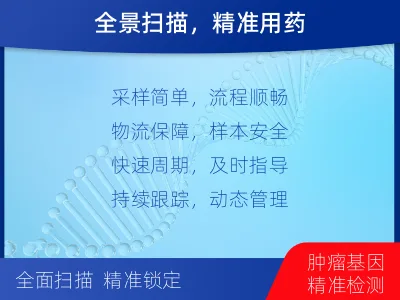 东丽-肿瘤全面用药600综合检测-检测流程