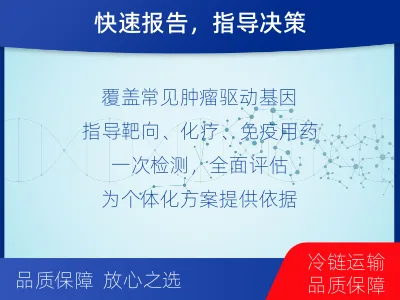 东丽-肿瘤全面用药600综合检测-适用人群
