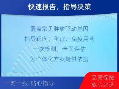 静海-肿瘤全面用药600综合检测-检测介绍