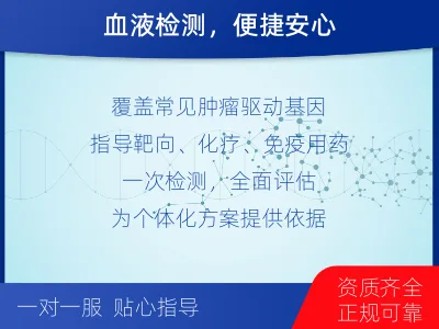 张家口-肿瘤全面用药600综合检测-检测流程