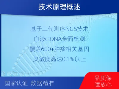 下花园-肿瘤全面用药600综合检测-检测介绍