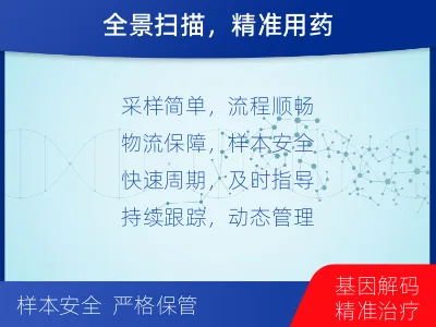 晋源-肿瘤全面用药600综合检测-检测流程