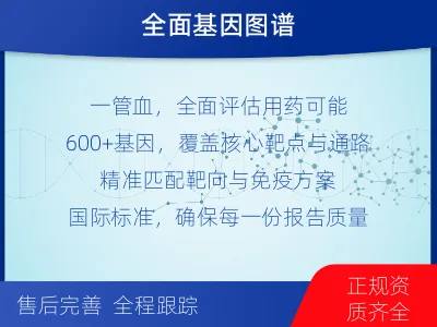 大同-肿瘤全面用药600综合检测-检测流程