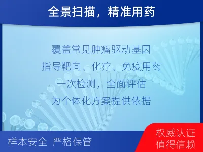 苏尼特左-肿瘤全面用药600综合检测-报告解读