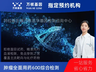 阿拉善盟阿拉善左旗肿瘤全面用药600+基因检测（血液）