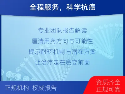 梅里斯-肿瘤全面用药600综合检测-检测流程