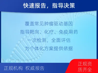 克东-肿瘤全面用药600综合检测-检测流程