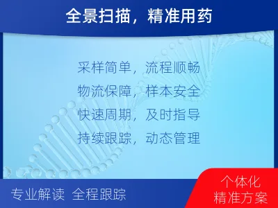 拜泉-肿瘤全面用药600综合检测-检测流程