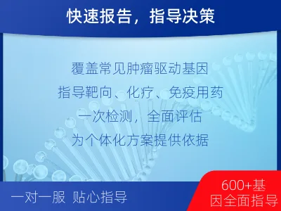 穆棱-肿瘤全面用药600综合检测-检测介绍