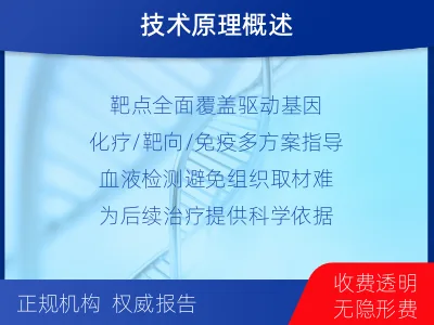 杨浦-肿瘤全面用药600综合检测-报告解读