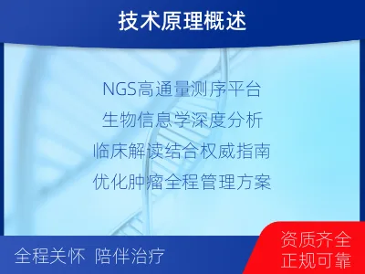 淮阴-肿瘤全面用药600综合检测-检测介绍