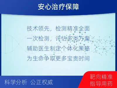 清江浦-肿瘤全面用药600综合检测-检测流程