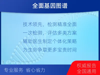 瑞安-肿瘤全面用药600综合检测-检测流程