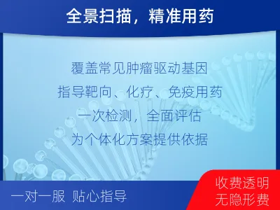 濉溪-肿瘤全面用药600综合检测-检测流程