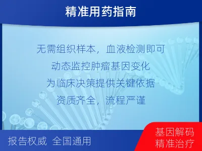 新罗-肿瘤全面用药600综合检测-检测流程