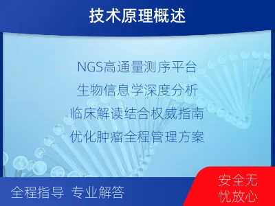 周村-肿瘤全面用药600综合检测-报告解读