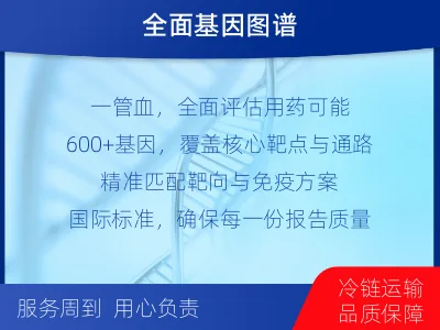 威海-肿瘤全面用药600综合检测-报告解读